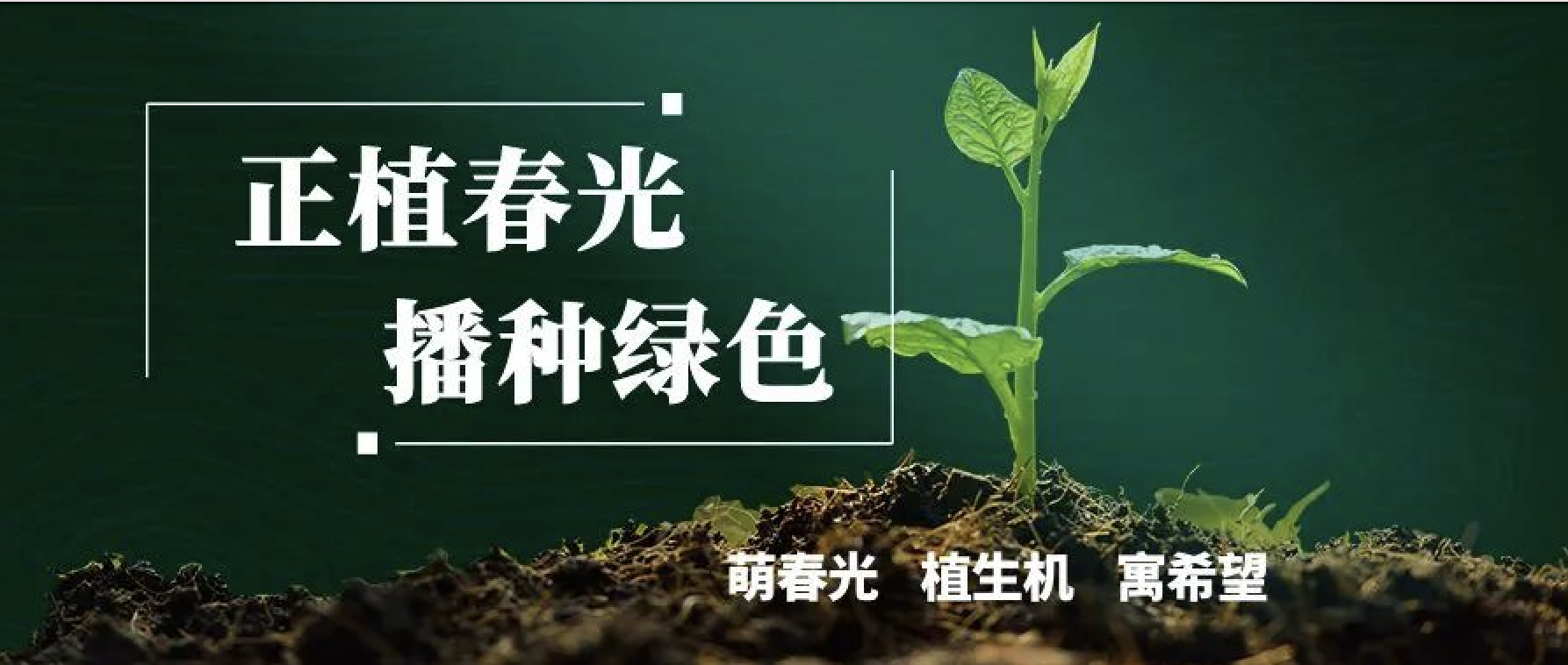 拥抱UG环球，共植美好